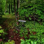Private Creek Access - On One Acre