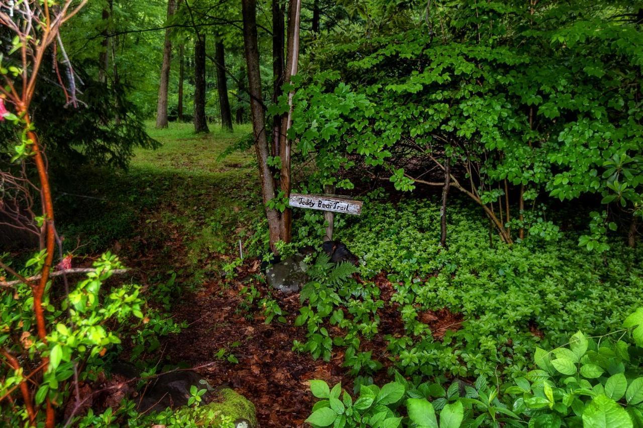 Casa de férias Private Creek Access - On One Acre *